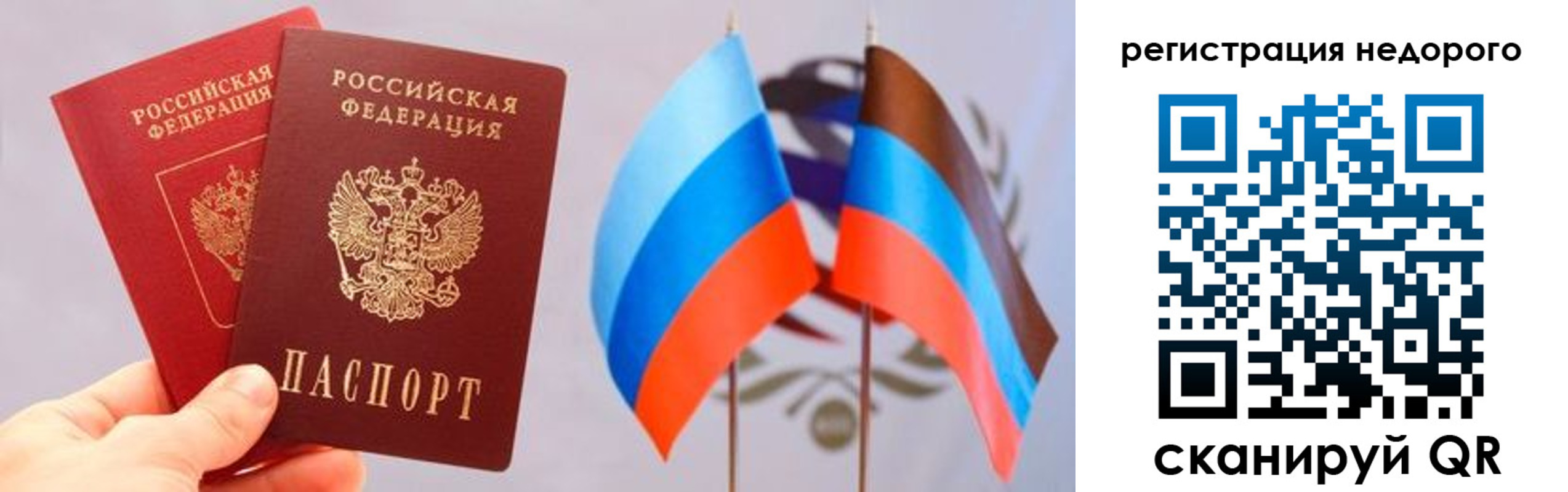 прописка для школы в Пионерском